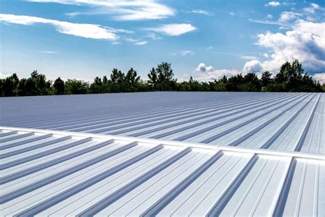 best metal roof coating to stop leaks|The 7 Best Roof Sealants of 2024, From Our Hands